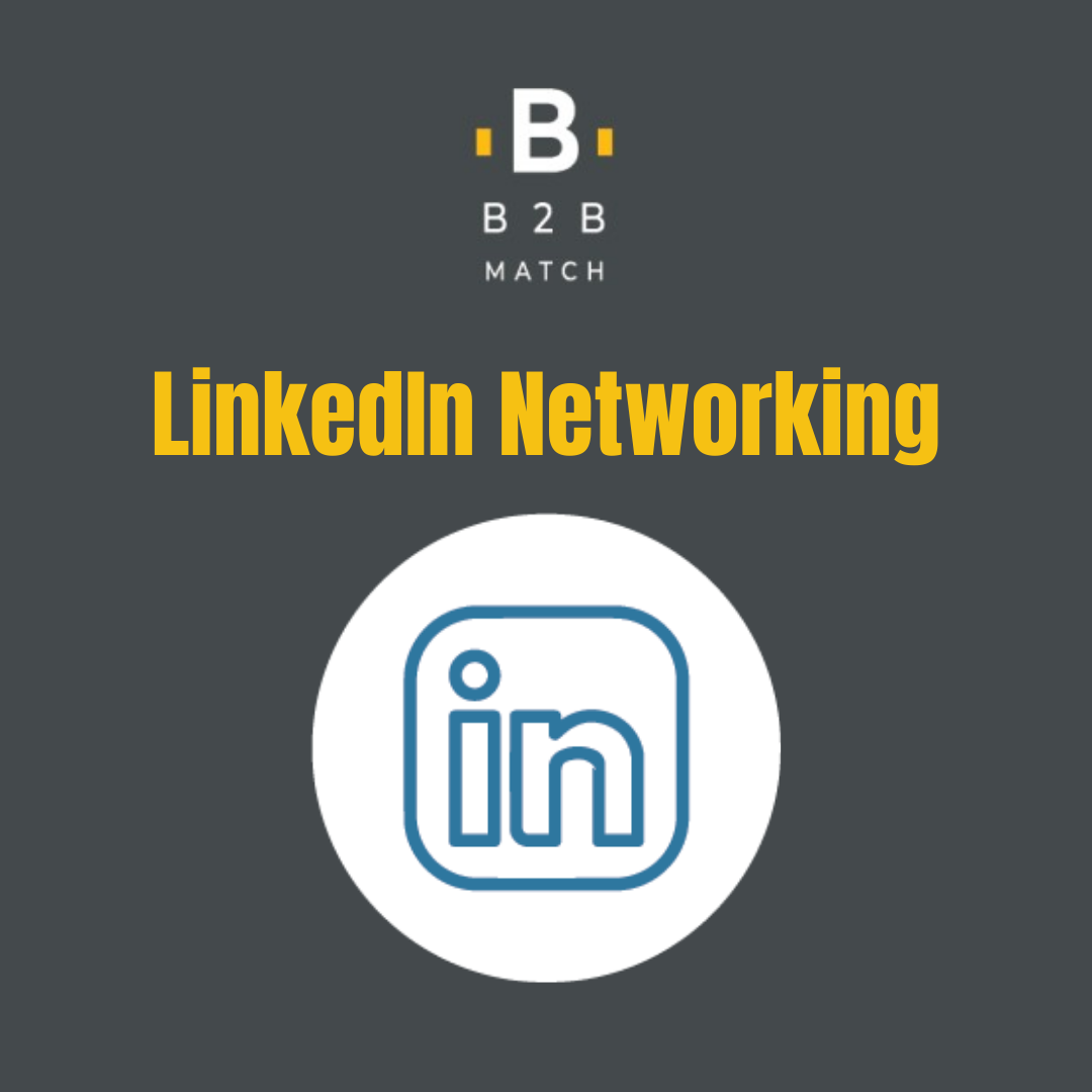 LinkedIn Networking